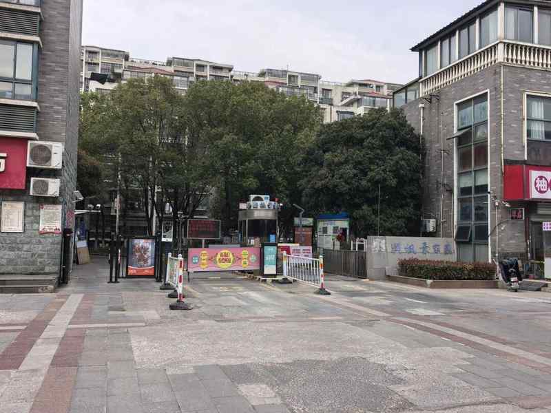 超长期特别国债赋能:老旧电梯更新改造的技术路径与实践分析 房产家居