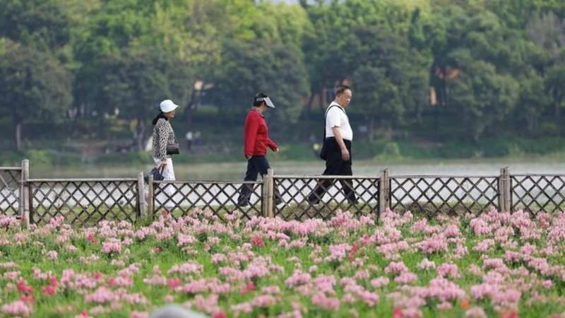 专项债包装乱象透视:7亿元农业项目是如何沦为形象工程的 股票财经 专项债包装乱象透视:7亿元农业项目是如何沦为形象工程的 股票财经