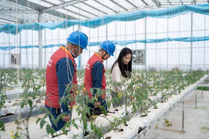 从「玻璃金字塔」到电力心脏：我在天长见证农业电气化的十年蜕变