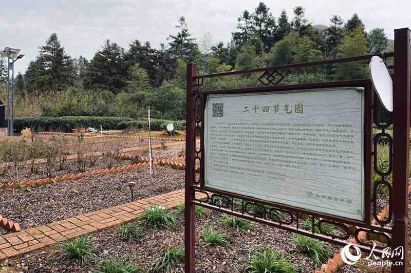 从「一片叶」到「一条链」:永泰茶产业三产融合的技术拆解与方法论 文化旅游 从「一片叶」到「一条链」:永泰茶产业三产融合的技术拆解与方法论 文化旅游