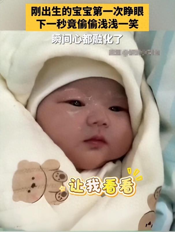 深度解析：新生儿外貌形成机制与外貌演变规律研究报告