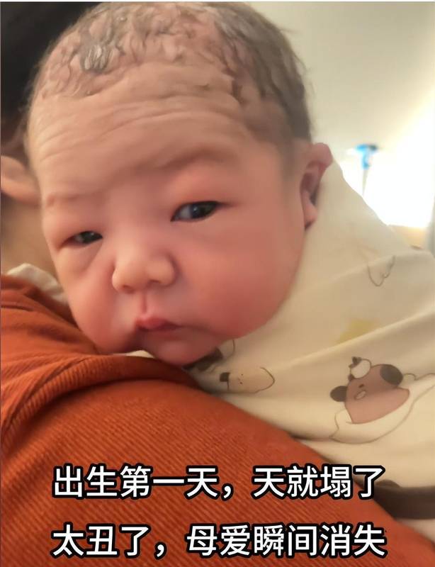 深度解析:新生儿外貌形成机制与外貌演变规律研究报告 健康养生