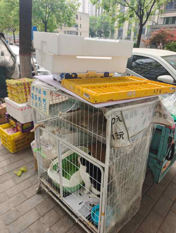  城市公共空间治理深度剖析：西安多处占道乱象的系统性整改方案 新闻 城市公共空间治理深度剖析：西安多处占道乱象的系统性整改方案 新闻 城市公共空间治理深度剖析：西安多处占道乱象的系统性整改方案 新闻 城市公共空间治理深度剖析：西安多处占道乱象的系统性整改方案 新闻