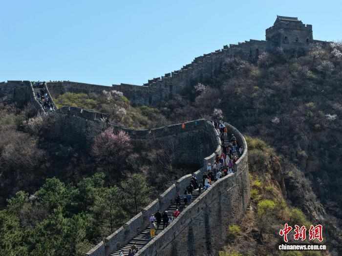 金山岭长城杏花节:技术视角下的文旅融合深度解析 文化旅游 金山岭长城杏花节:技术视角下的文旅融合深度解析 文化旅游