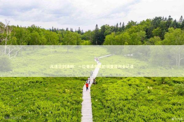 从迷茫到清晰：一位普通市民的调查咨询全记录