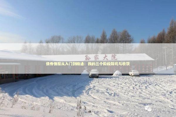 债券情报从入门到精通:我的三个阶段踩坑与收获 债券情报从入门到精通:我的三个阶段踩坑与收获 股票财经